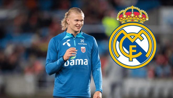 2025年体育博彩算法软件市场研究